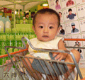 fenglin11301