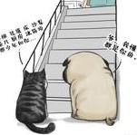 小小蜻蜓2006