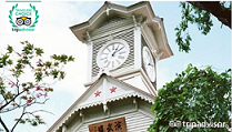 紫小宛代购