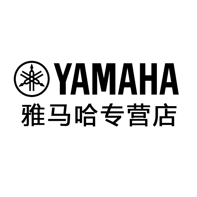 星星河乐器专营店