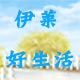 这样挺好411