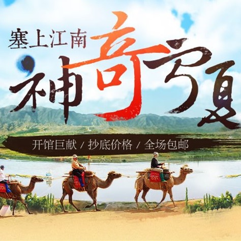 红色健康无果枸杞芽茶
