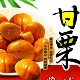 唐山板栗直销店