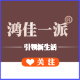 鸿佳一派舰旗店