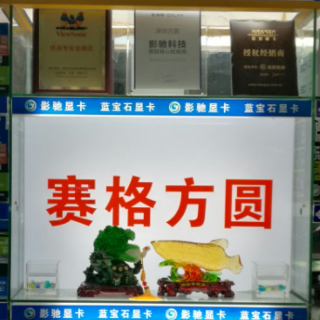 卫斯理八号
