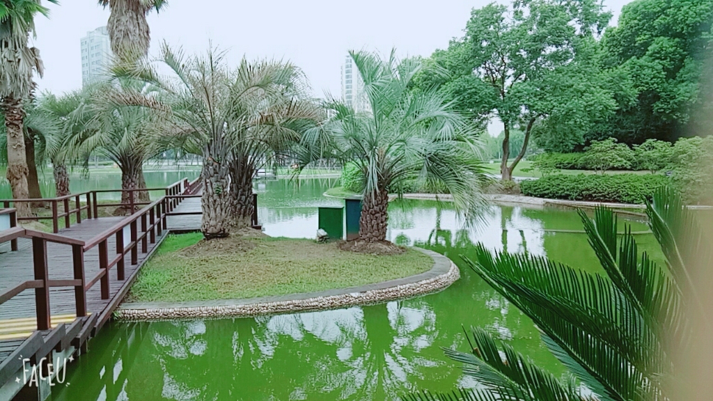lixiaojing200458