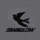 swallow2313
