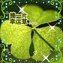 月月靓