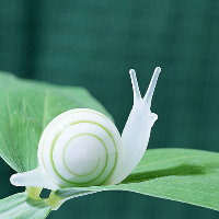 极速蜗牛998