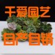 tb32559538