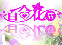 胡冬梅6459398