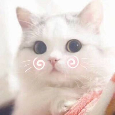 zjy1605586905