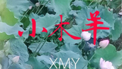天的爱宜
