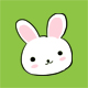 rabbit725