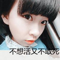 啸网一生