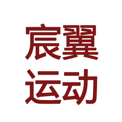宸翼运动