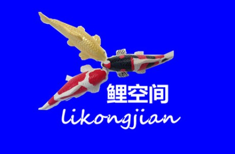 爱鲤水族
