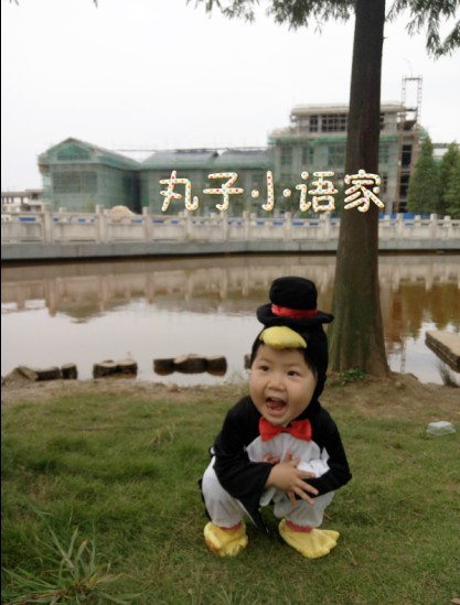 qq513338279