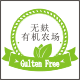 辛迪姐姐的小屋