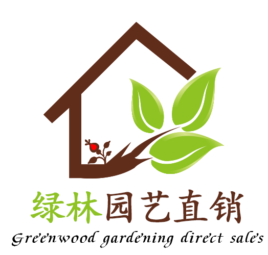 绿林小妹