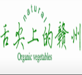燃烧我的钱