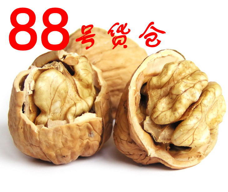 88号仓管