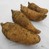 diqiuren168