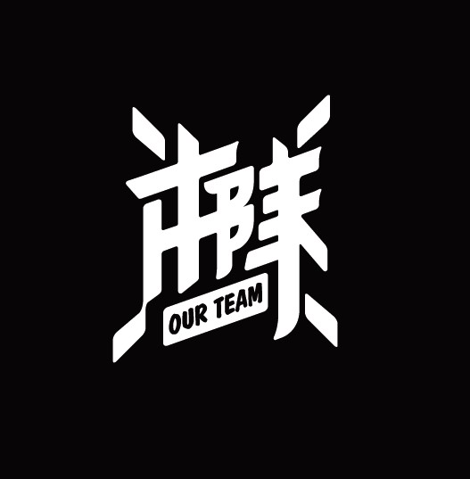 ourteam本队