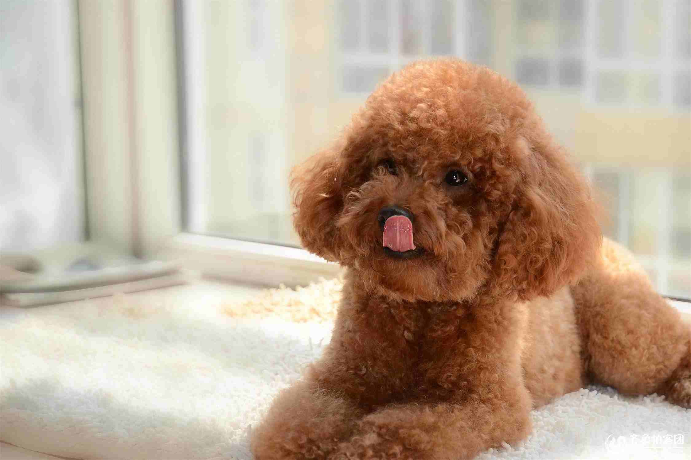 嘉嘉潮童馆