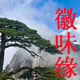 qiuqiuaipangpang