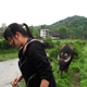 麻阳小坏蛋