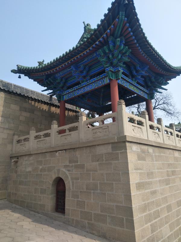 绿萝的梦3903