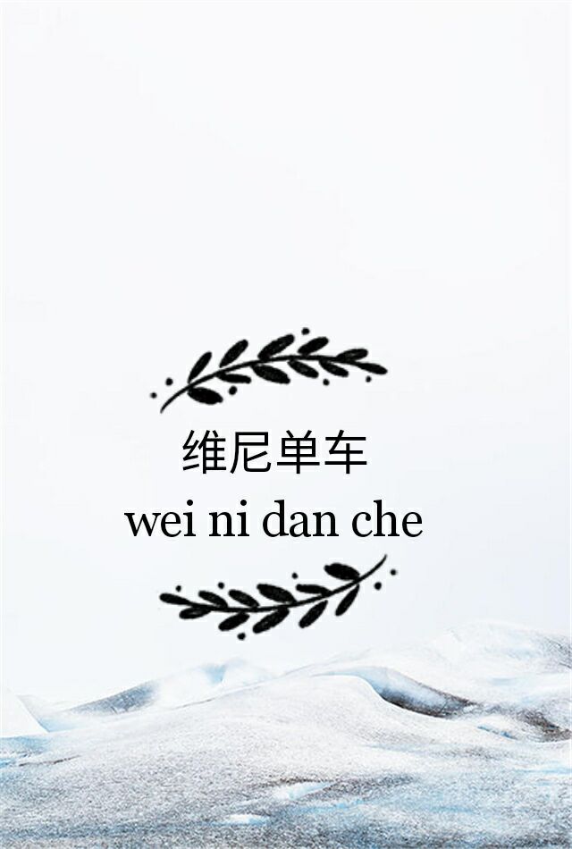 维尼单车