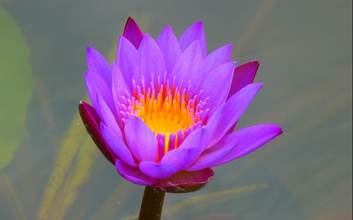 xwnkj2008
