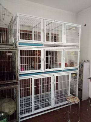 迪美佳宠物用品有限公司