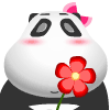 杨阳87528