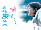 流星雨6077