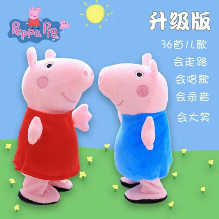 铁树的果实