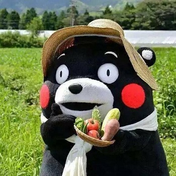邓龙光