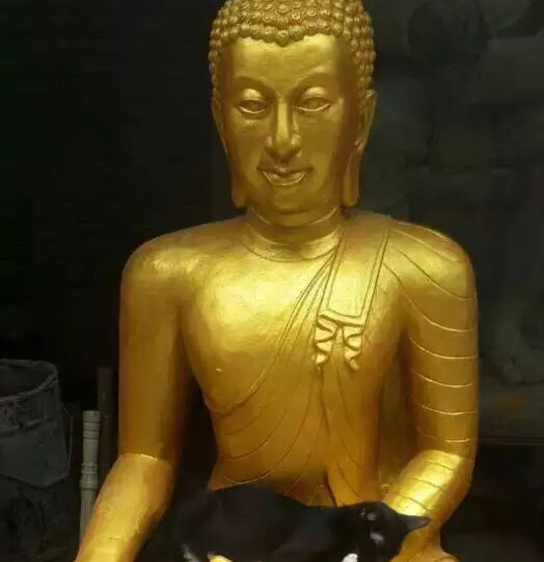 罗佳汶