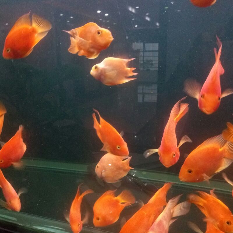 冬天有彩虹