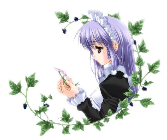 我与飞翔