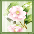 刘闪靓