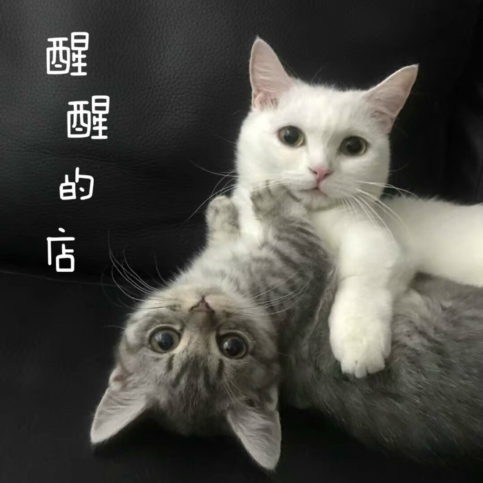 给您称心如意
