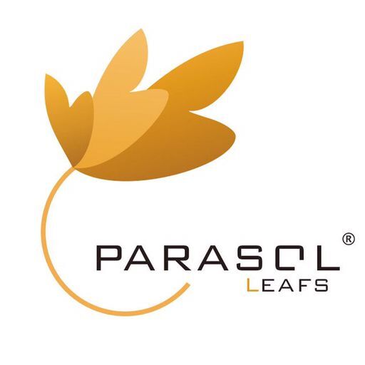 梧叶儿parasolleafs