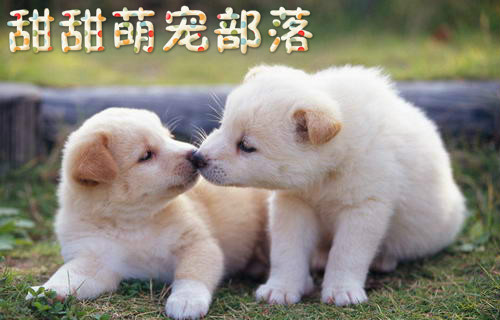 只愿一生爱一7