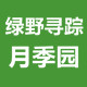 玉兔与金猪