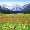好运来掌柜