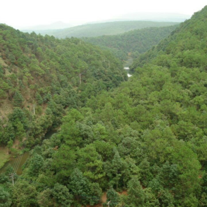 l15938287192