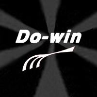 dowin企业店